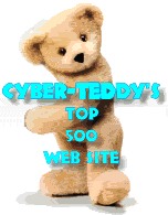 CyberTeddy Award